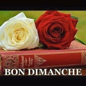 Meet your Posher, Eveline